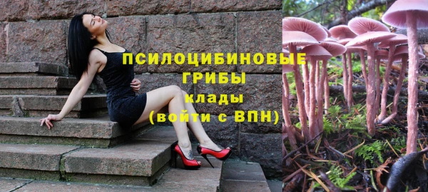 бутират Дмитров